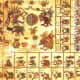 The Paris codex
