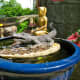 phuketthailandphotos