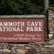 Mammoth Cave is the world's longest cave system with over 350 miles of known passages. Researches believe there are many passage yet undiscovered. The caverns are made of limestone which dissolved in water, then either washes away or drips to form st