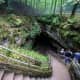 Main cave entrance. The temperature underground stays 54 degrees year-round. The humidity is ~87 percent. There are underground lakes and rivers.