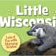 Little Wisconsin (Little State) Board book by Kathy-jo Wargin
