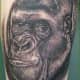gorilla-tattoos-and-designs-gorilla-tattoo-meanings-and-ideas-gorilla-tattoo-pictures