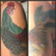 rooster-tattoos-and-designs-rooster-tattoo-meanings-and-ideas-rooster-tattoo-pictures