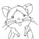 how-to-become-friends-with-a-pet-hamster