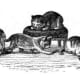 german-illustrators