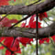 the-colors-of-the-seasons