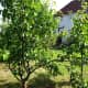 organic-vegetable-gardening-diary-and-planner
