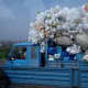 Plastic products trigger estrogen effect