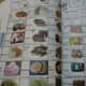 Japanese foods and snacks by name and matching picture