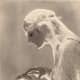 photographer-adolph-de-meyer