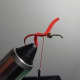 Setting the First Worm