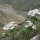 fulaich-the-festival-of-flowers-in-kinnur