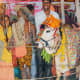 In Hinduism, cows and bulls represent the symbol of Dharma