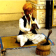 top-10-most-dangerous-exotic-animals-you-can-legally-own-in-india