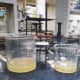 The two layers- biodiesel and oil slowly separate out
