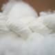 An Angora fibers are so luxurious.