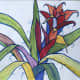 Outlined Bromeliad