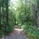 Nice trail.