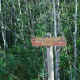 An old forestry road that is somewhat overgrown and might as well be called a walking trail now.