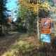 Tilson Bay Ski Trail, a great hike with wildlife watching possibilities.