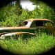 scenic-byways-a-gallery-of-abandoned-cars