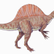 Spinosaurus - meat eater