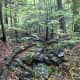 a-hike-through-madame-sherri-forest-and-a-look-at-her-stairway-to-heaven