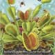 Hungry Plants (Step-into-Reading, Step 4) by Mary Batten