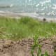 The views overlooking Lake Michigan from Lion's Den Gorge are spectacular.