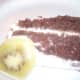 irresistible-chocolate-kiwi-frosted-cake-easy-recipe-with-devils-food-cake-mix