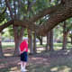 Carolyn H Wolff Park