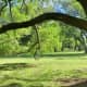 Carolyn H Wolff Park