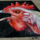Creekfest chalk art