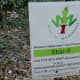 Wireless Wilderness Tour station in the West 11th Street Park
