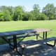 Sole picnic table in the park