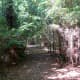 west-11th-street-park-in-houston-wilderness-in-the-city