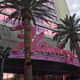 The Flamingo welcomes you!