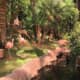 Flamingos you will meet while staying at the hotel.