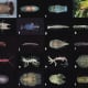 a, Bathynomus sp. b, Natotolana woodjonesi. c, Cirolana sp. Aegidae: d, Creniola laticauda on sea dragon. Gnathiidae: e, f, Elaphognathia ferox (male and female). Anthuridae: g, Mesanthura astelia. Paranthuridae: h, Paranthura sp. Limnoriiidae: i, Li