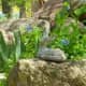 a-moss-garden