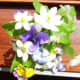 a-moss-garden