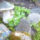 Garden decor and rocks