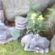 a-moss-garden