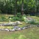 a-moss-garden