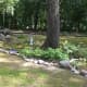 a-moss-garden