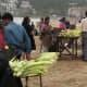 some of the vendors on the beach