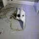how-not-to-install-a-low-flow-toilet