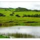 Parker Ranch Pasture - Yes we've noticed the resemblance to Ireland