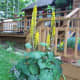 our-garden