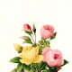 Vintage yellow and pink roses clip art